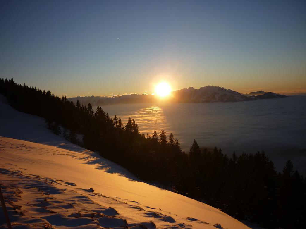 Haus Fiel Dornbirn